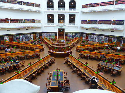white and brown library building, formal, pattern, librarian HD wallpaper