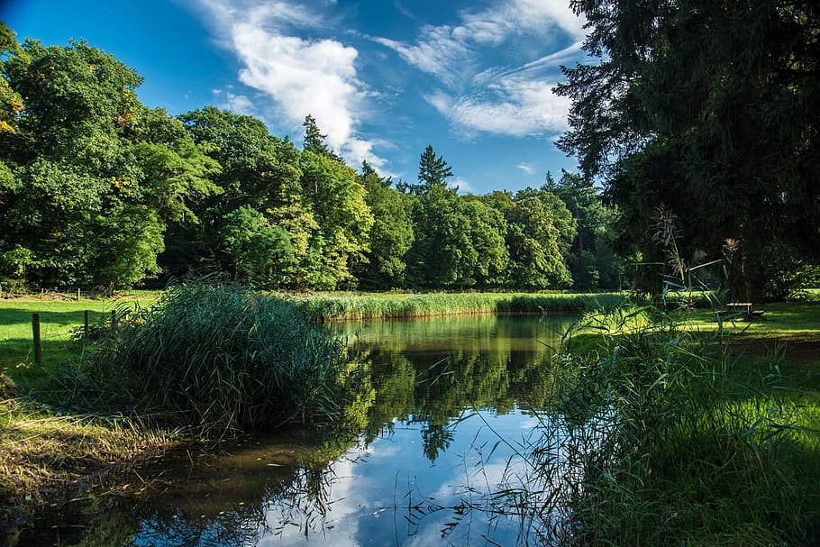 calm body of water beside green grass field during daytime HD wallpaper