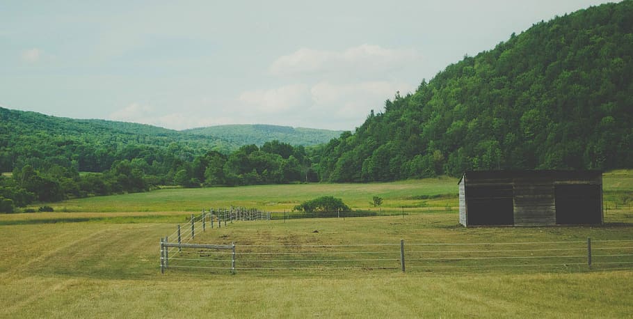Fields, Road Trip, Journey, Landscape, green, dom, grass, way HD wallpaper