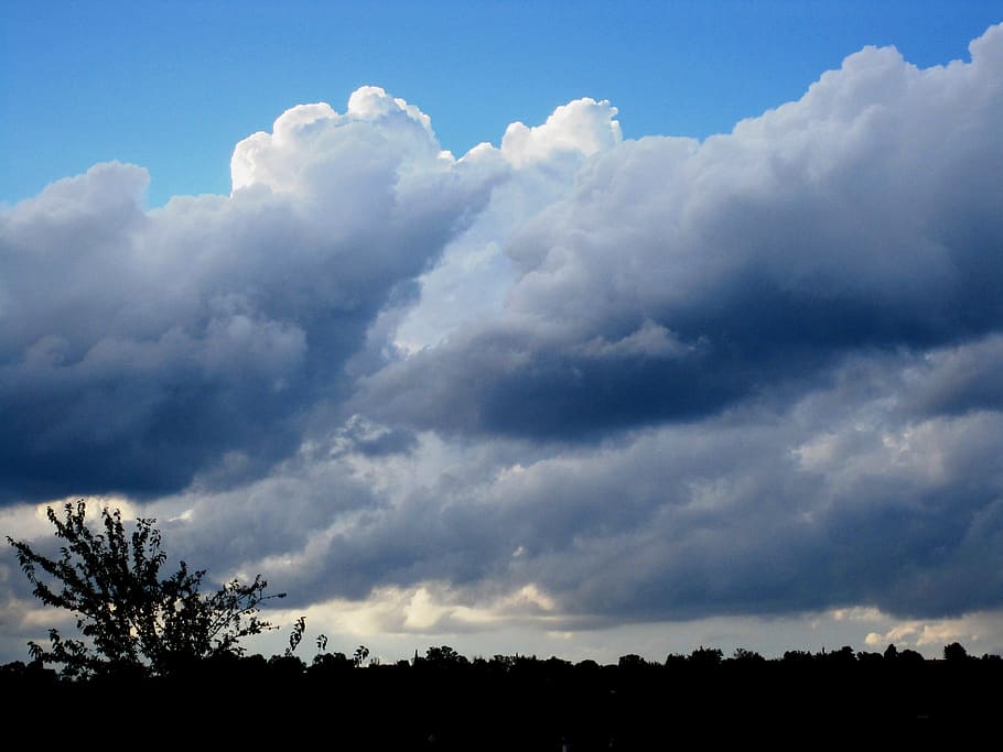 clouds, swirling, rolling, diagonal tugging, moving, tree on horizon HD wallpaper