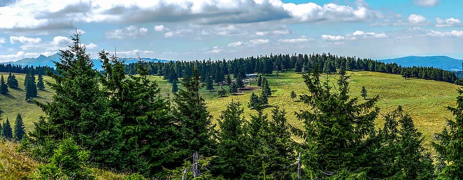 mountain, green, grass, farm, trees, plant, highland, field HD wallpaper