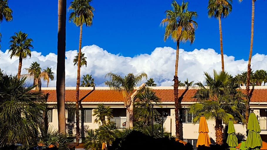 clouds, hotel, trees, house, architecture, coconut trees, palm trees HD wallpaper
