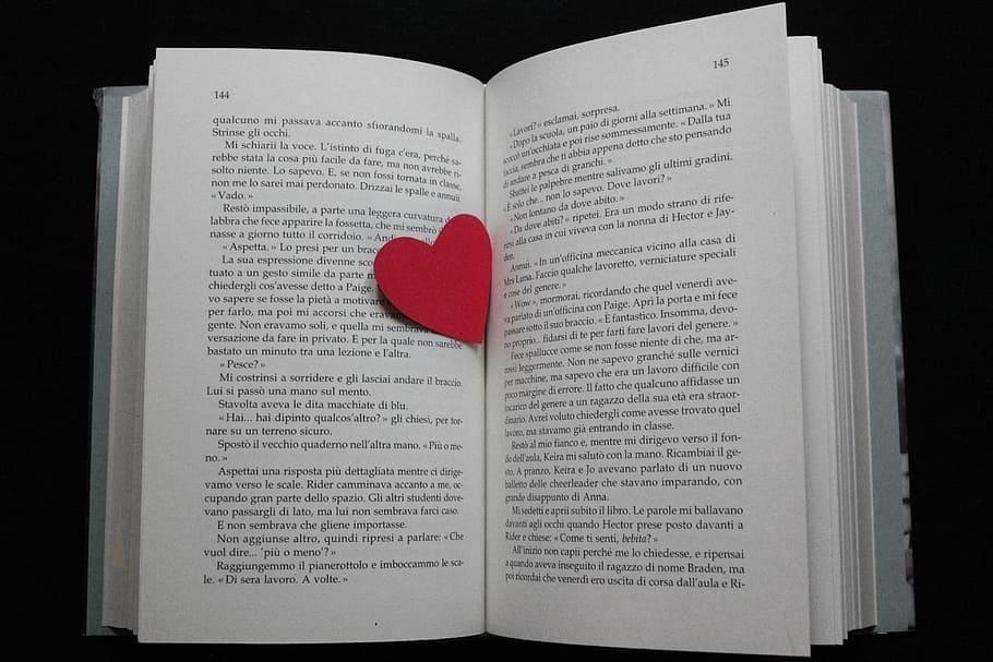 book, read, books, reading, open book, history, written, reflection HD wallpaper