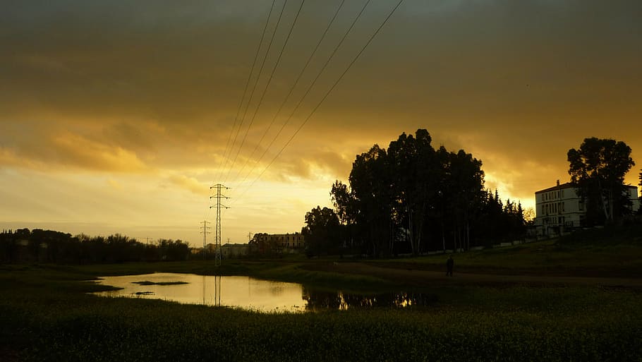 walk, landscape, puddle, field, campestre, outside, pond, water HD wallpaper