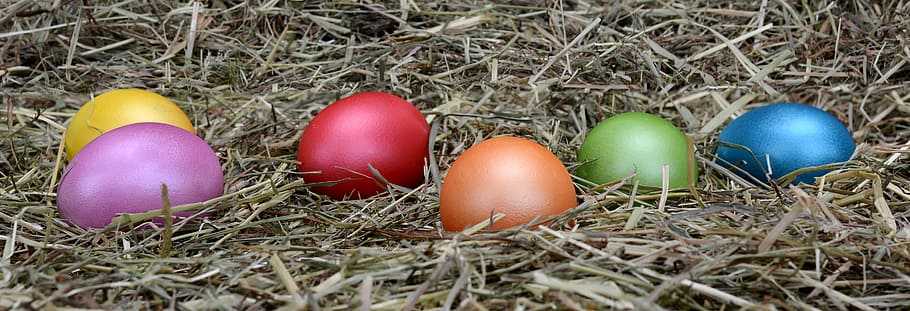 untitled, easter eggs, decoration, easter decoration, happy easter HD wallpaper