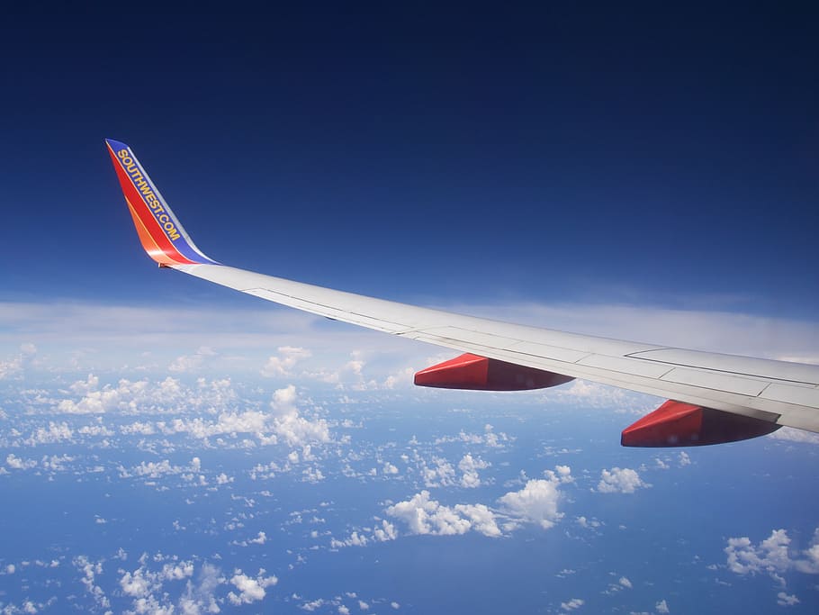 aerial view of white clouds, plane, sky, airplane, travel, flight HD wallpaper