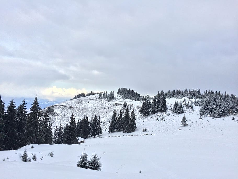 landscape, winter, snow, sky, mountain, nature, trees, blizzard HD wallpaper