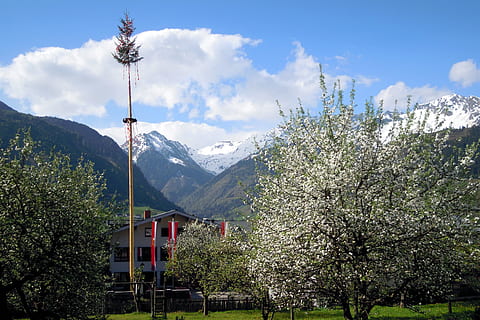 Maypole, Tradition, Old, 1, need old, maypole set up, mountain HD wallpaper