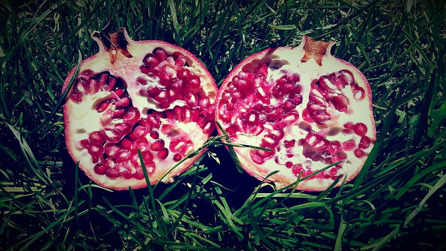 pomegranate, fruit, nature, food and drink, freshness, red HD wallpaper