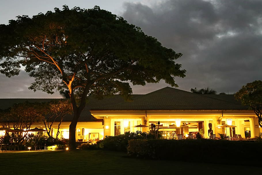hotel, night, lights, architecture, hawaii, tree, built structure HD wallpaper