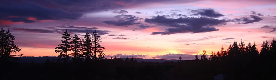 Sunset, Clouds, Tree, Silhouette, trees, tree silhouette, sky HD wallpaper
