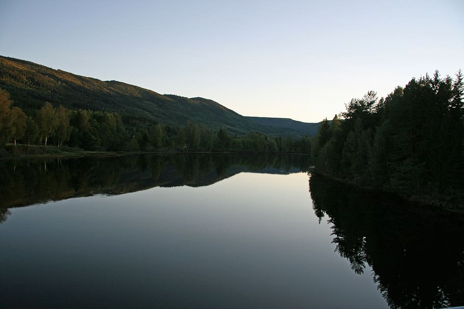 norway, evening, mirror, reflection, lake, water, tree, tranquil scene HD wallpaper