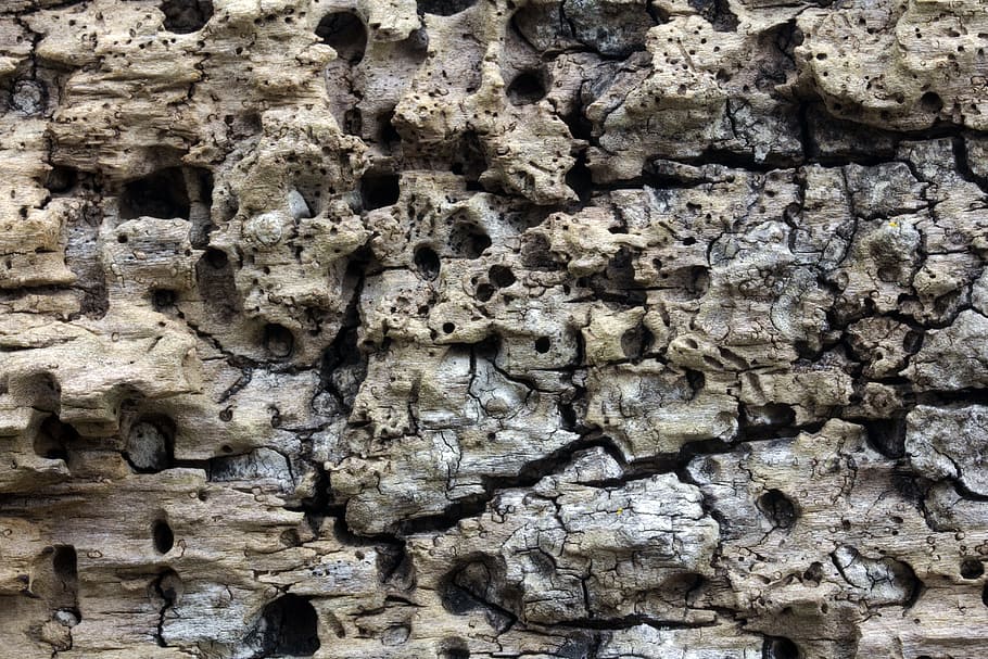 Wood, Background, Structure, Texture, backgrounds, pattern HD wallpaper