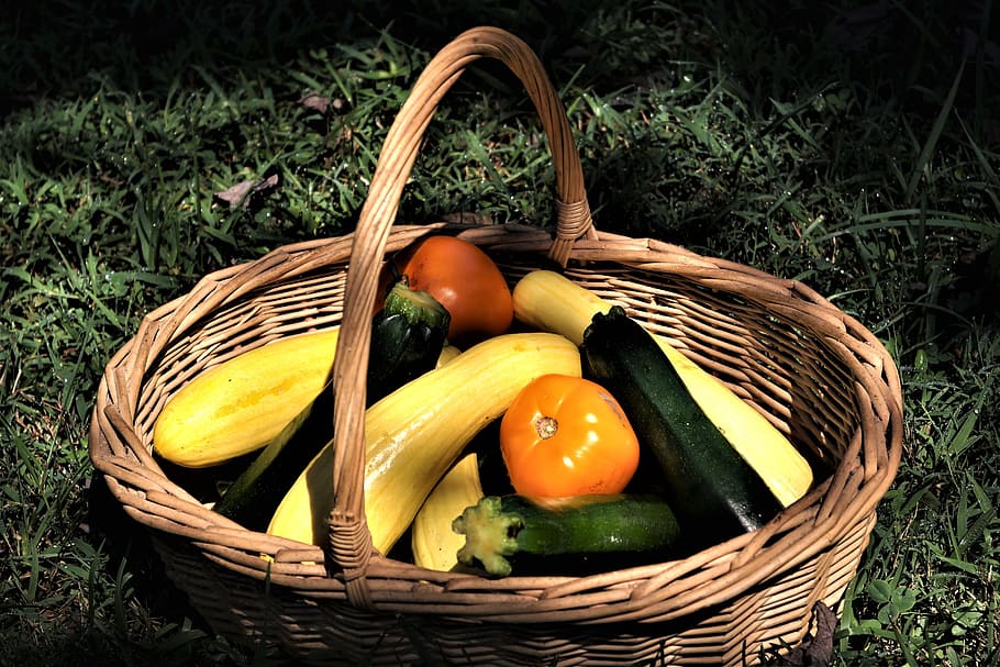 basket, squash, zucchini, vegetables, fall, autumn, tomatoes HD wallpaper