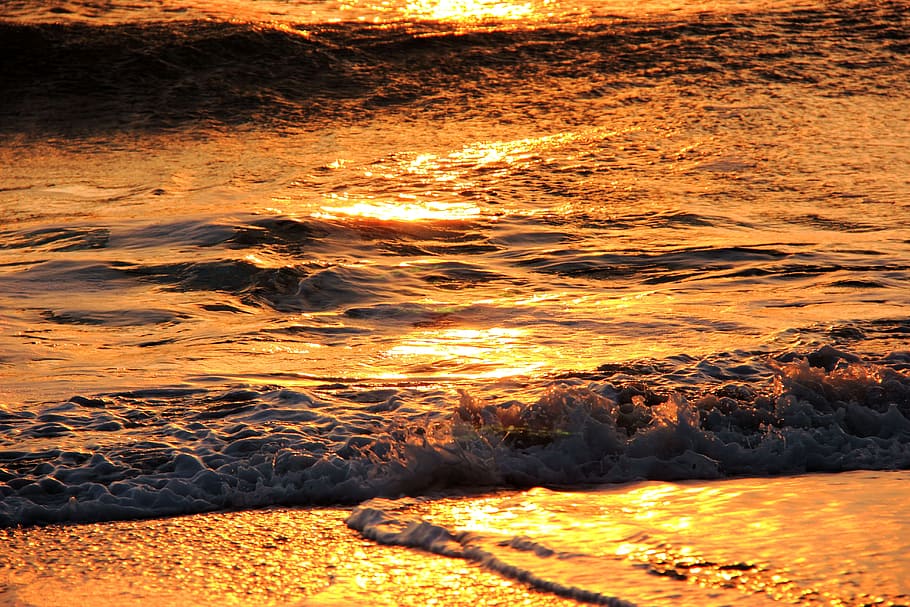 surf, wave, sea, ocean, summer, water, beach, ocean wave, water wave HD wallpaper