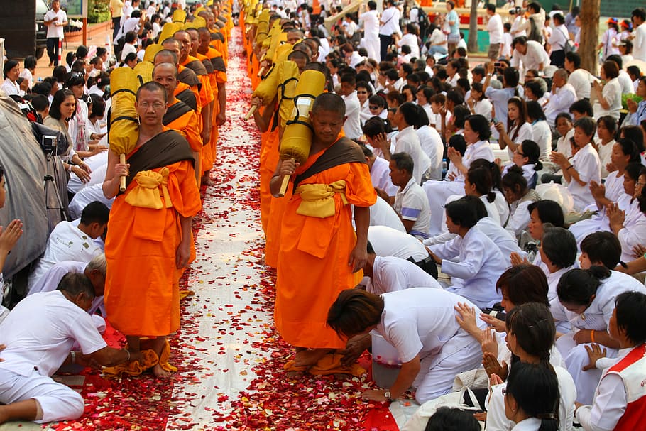 buddhists, monks, walk, tradition, ceremony, thailand, festival HD wallpaper