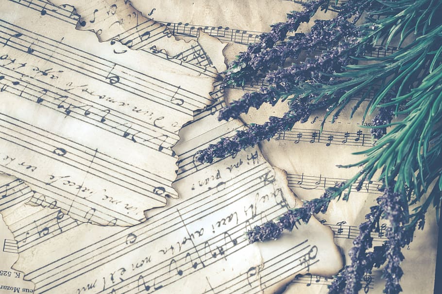 brown and black musical notes, no person, paper, lavender, background, HD wallpaper