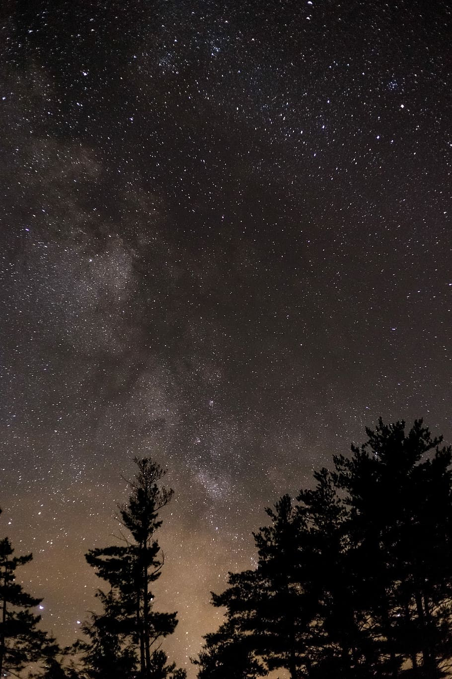 low angle photo of stargazing phenomenon, sky during night, silhouette HD wallpaper