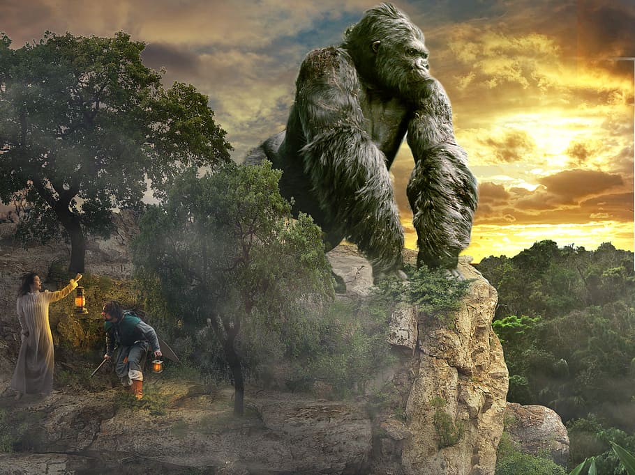 King Kong digital wallpaper, risk, fear, gorilla, real people, HD wallpaper