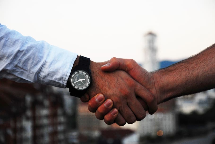 two persons shaking hands during daytime, handshake, business
