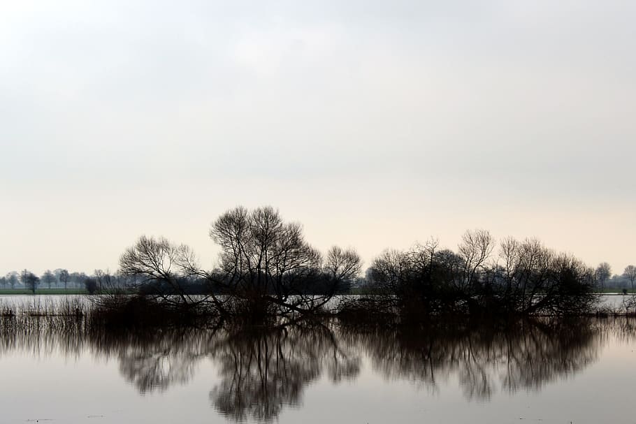 calm body of water near trees at daytime, nature, waters, reflection HD wallpaper
