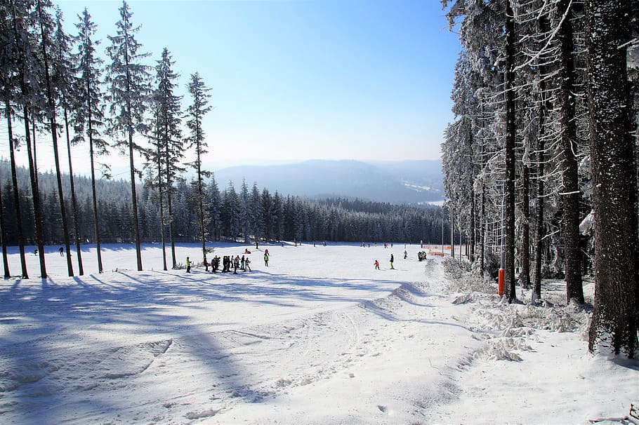 Winter, Snow, Ski Slope, Areal, the ski slope, ski areal, ski resort, HD wallpaper
