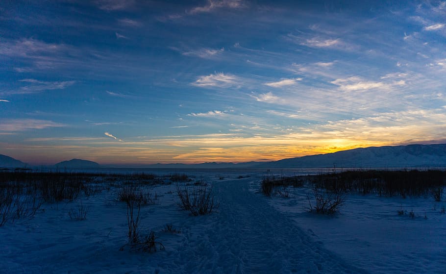 snowy pathway under blue sky at sunrise, green, grass, near HD wallpaper