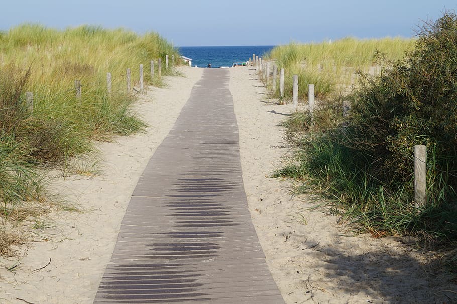 beach, away, dunes, water, sand, sea, coast, landscape, nature HD wallpaper