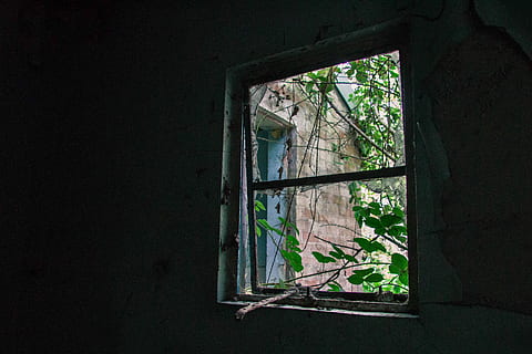 rectangular brown wooden framed window at daytime, window with a scene of brick house HD wallpaper