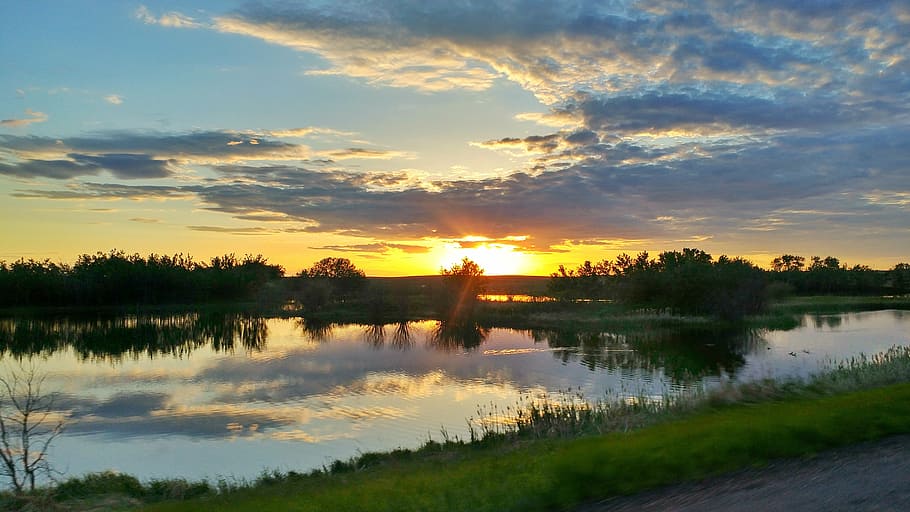 sunset, golden, summer, water, reflection, nature, yellow, evening HD wallpaper
