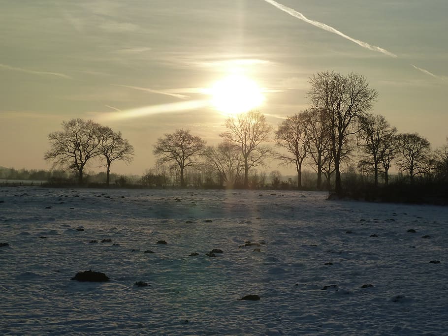 landscape, winter, sky, trees, winter trees, wintry, nature HD wallpaper