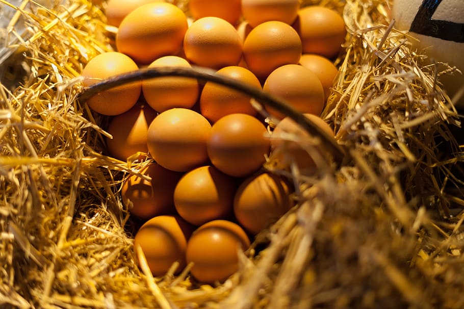 brown eggs, basket, straw, food, animal egg, hay, animal nest HD wallpaper