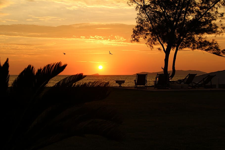 Sunrise, Sol, Beach, Horizon, mar, sky, dusk dawn, landscape HD wallpaper