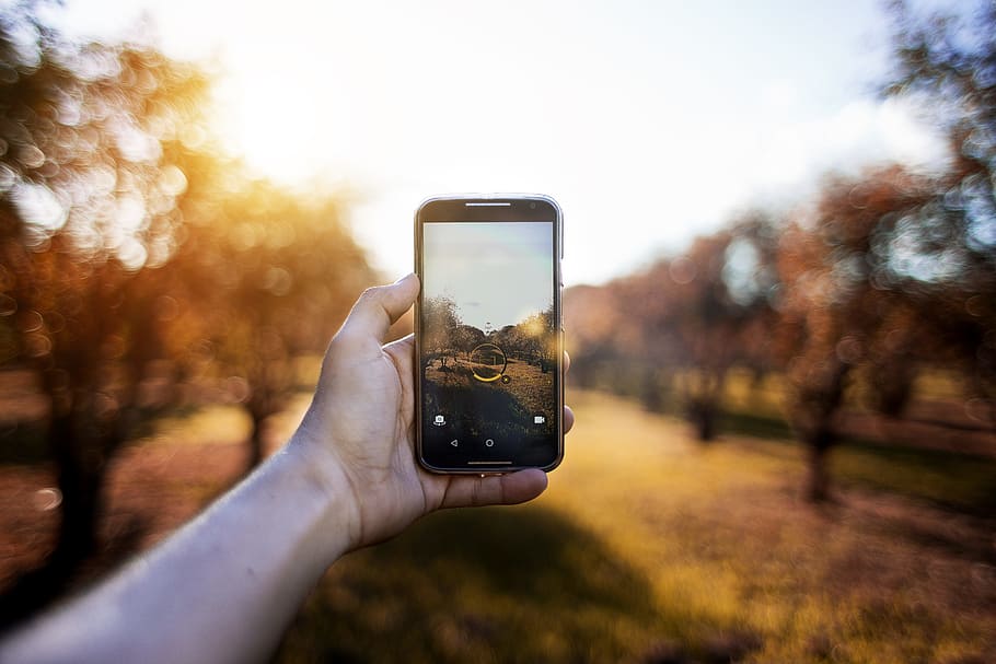 hand, camera, smartphone, trees, blur, blurry, bright, capture HD wallpaper