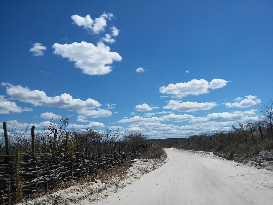 Road, Caatinga, Semiarid, Ceará, quiterianópolis, backcountry HD wallpaper