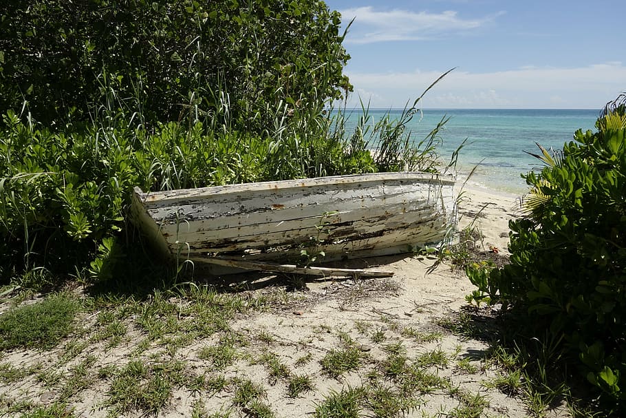 boat, beach, anda, water, plant, land, tranquility, sea, nature HD wallpaper