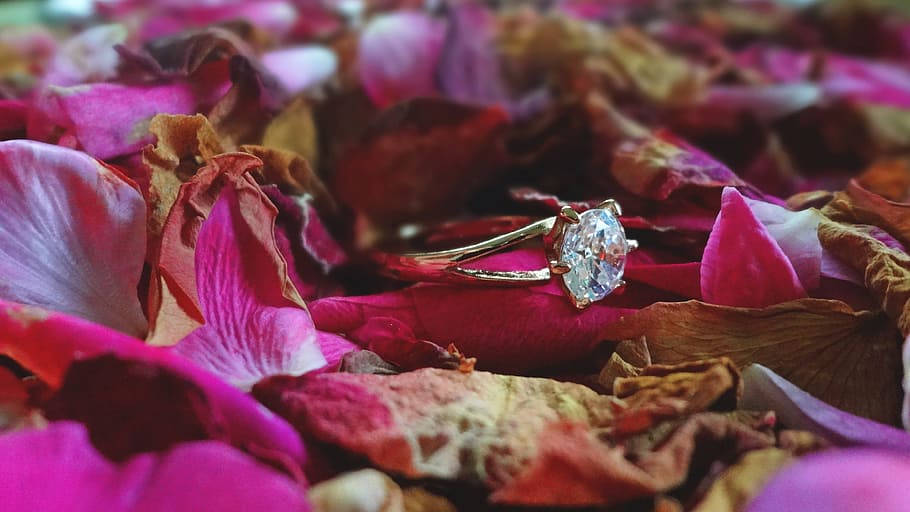 Ring, Wedding, Light, Soft, Roses, Gold, crystal, purple, close-up HD wallpaper