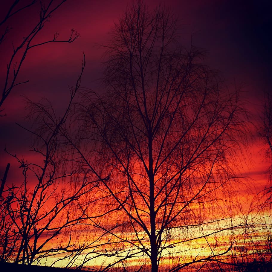 sunset, evening sky, red, afterglow, abendstimmung, nature HD wallpaper