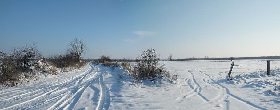 snow, way, winter, landscape, spacer, snowy, cold temperature HD wallpaper