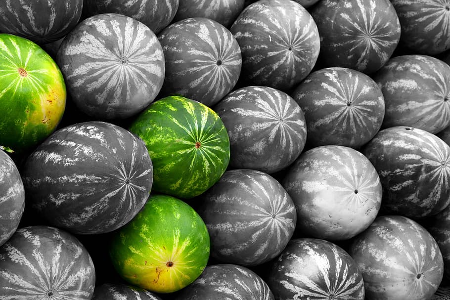 selective color photography of 3 watermelons, water melons, fruit