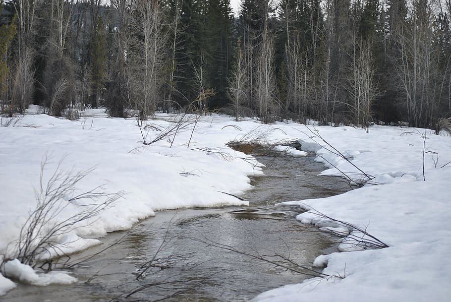 river, snow, winter, cold, water, nature, landscape, forest HD wallpaper