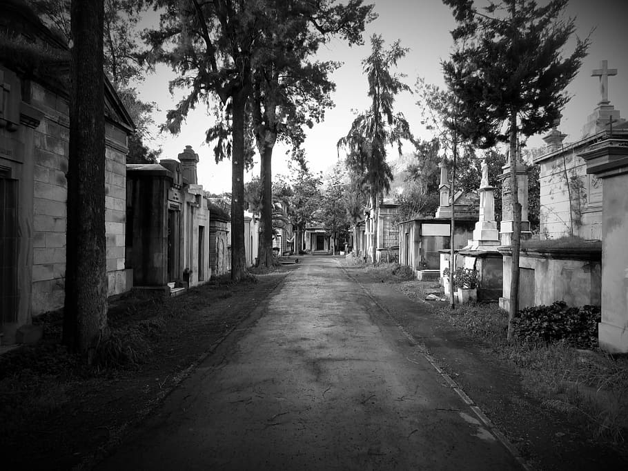Cemetery, Path, Dark, Graves, Terror, Bw, black and white, tree HD wallpaper