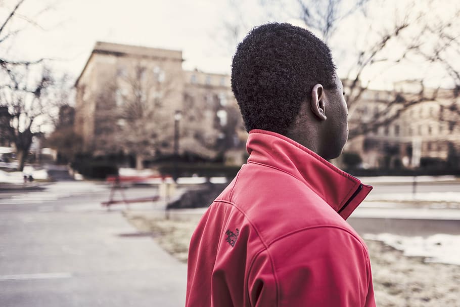 man wearing red collared top, person, jacke, sweater, guy, park HD wallpaper