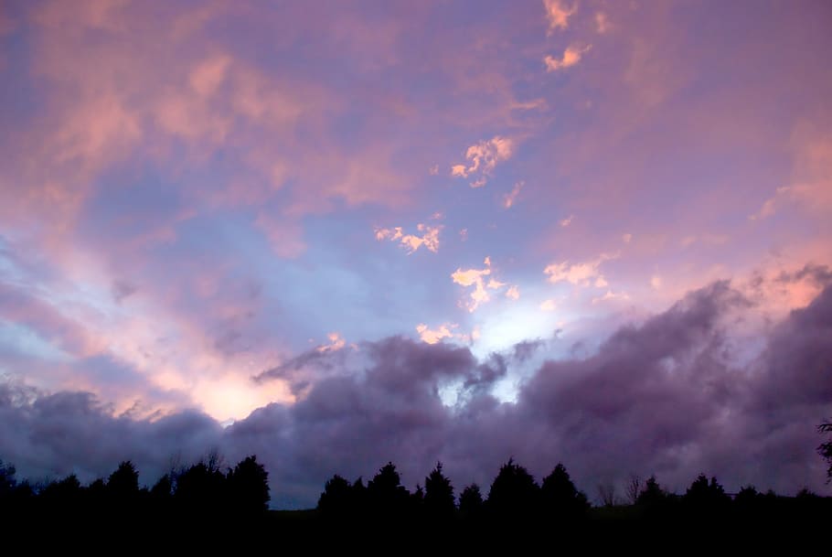 silhouette of trees under cloudy sky, Clouds, Pastel, Light HD wallpaper