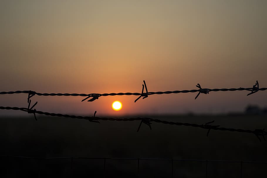 barbed wire, sunset, black, dramatic, cage, metal, nature, sky HD wallpaper