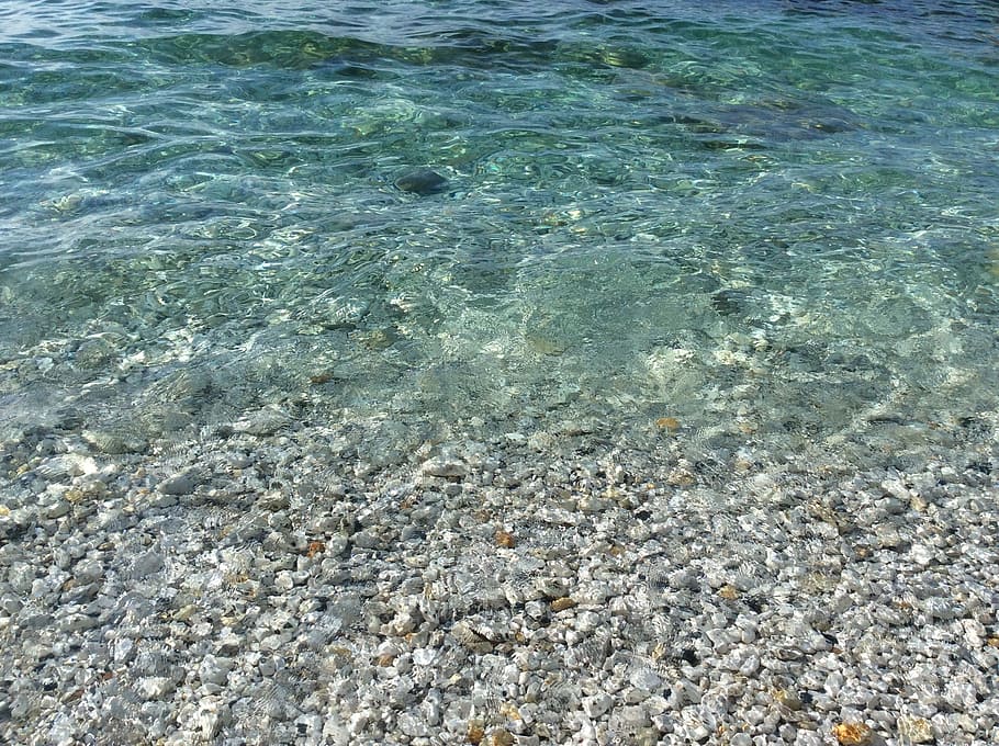 sea, transparent, pebbles, water, beauty in nature, rock, tranquility HD wallpaper