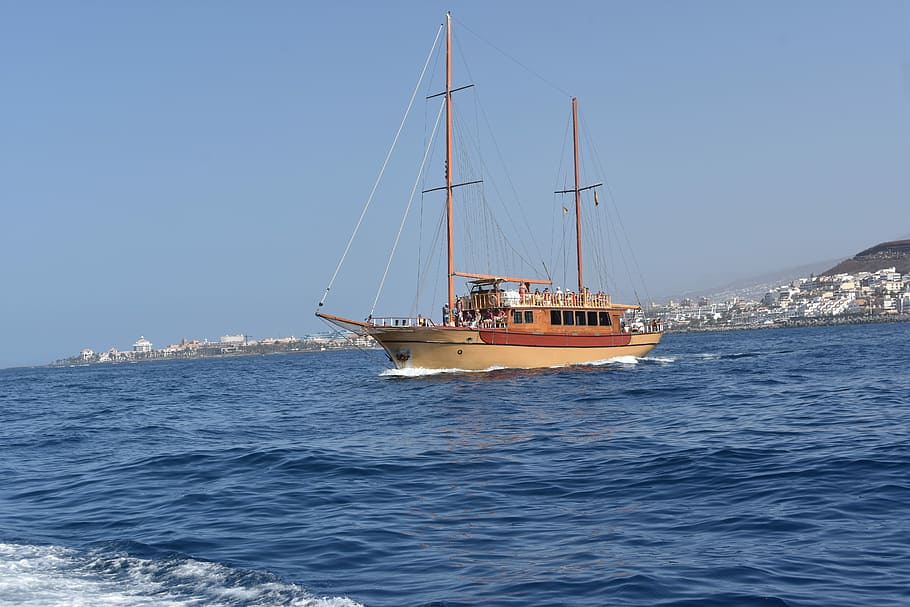 Boat, Sailboat, Browsing, Browse, nautical vessel, sea, day HD wallpaper