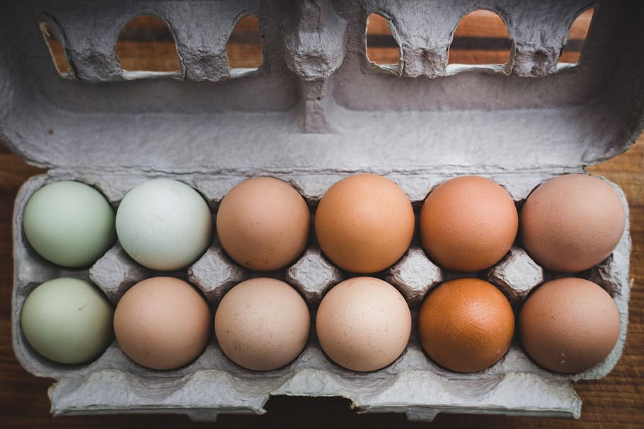 egg piled on tray, chicken eggs on gray tray, box, farm, eat HD wallpaper