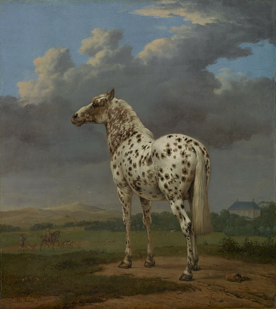 white and gray horse painting, paulus potter, art, oil on canvas