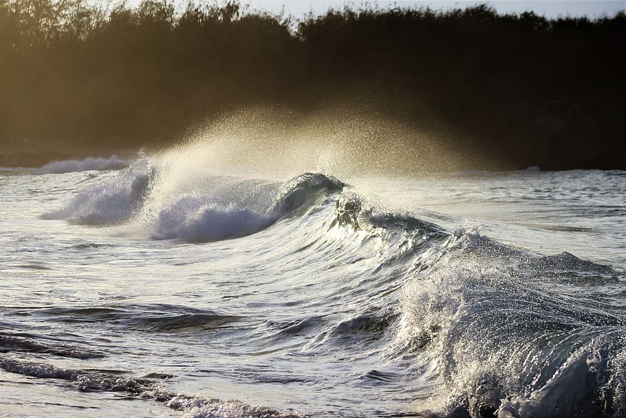 photo of sea waves, ocean, water, beach, mist, spray, hawaii HD wallpaper